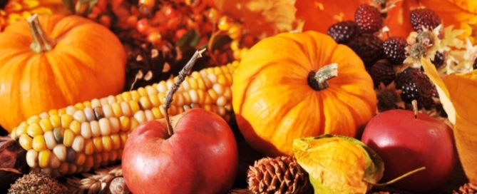 VASEY Facility Solutions - Happy Thanksgiving